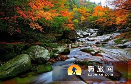 最新!秦岭核心保护区禁止房地产开发 不得超容量接待游客