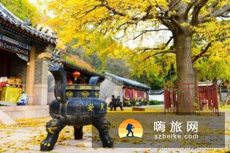 国家旅游局发布2011年第一季度全国旅行社统计调查情况