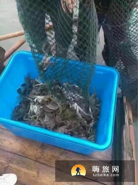 阳澄湖吃蟹哪家好,阳澄湖一日游攻略