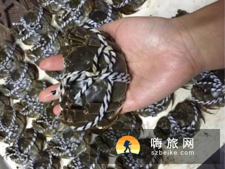 阳澄湖吃蟹哪家好,阳澄湖一日游攻略