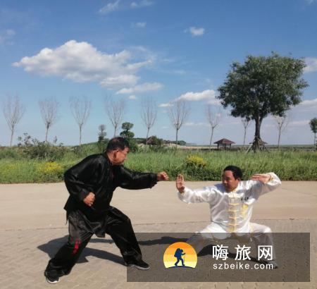 首届国际传武联盟大会弘扬中华传统武术文化 助力推动南大港全域旅游发展