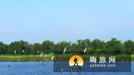 首届国际传武联盟大会弘扬中华传统武术文化 助力推动南大港全域旅游发展