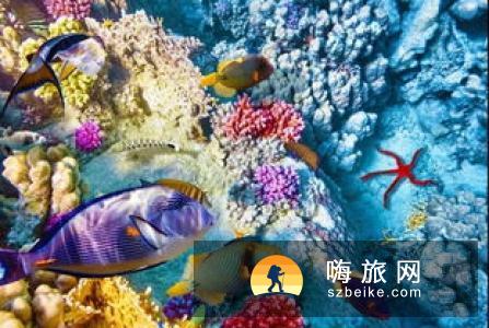 行走在熔岩之上，感受一半火焰一半海水的奇妙仙境！